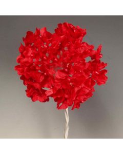 Ramito royal rojo pomo 6, min.12