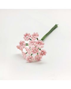 Pink daisy white stem, bouquet of 12un.