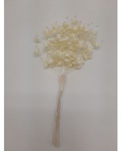 Campane con perle gialle