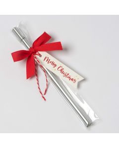 Simply silver marker with red bow  Merry Christmas Card