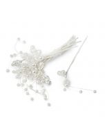 Perlitas Novedad precio x pomo de 12, min.6