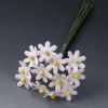 Marguerites blanches bouquet de 12