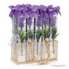 Display 30 boxes 6 neapolitans with lavender flower