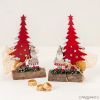 Tronc P.Noël et arbre rouge 21cm avec 4 chocolats