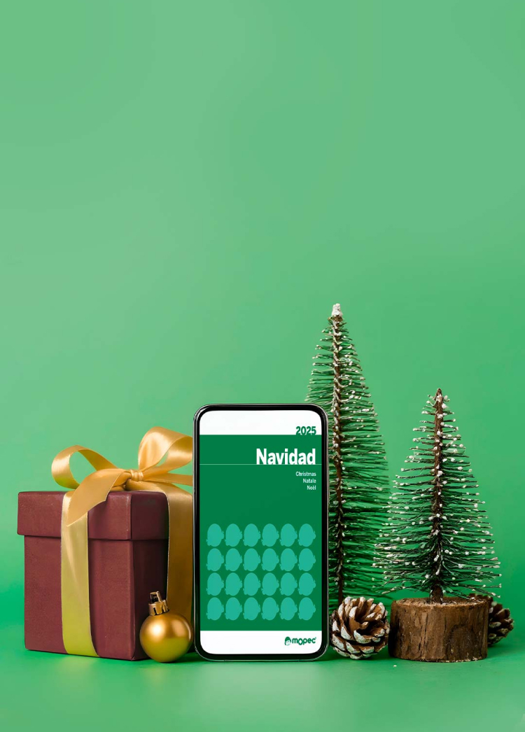 Catálogo Navidad 2025